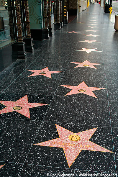 Hollywood Film Star on Is The Hollywood Walk Of Fame A Sham    Kyle Osborne S